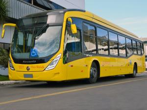 Marcopolo Viale BRS 2013 года